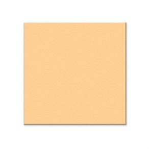 GẠCH LÁT NỀN MÀU KEM (CAPPUCCINO)