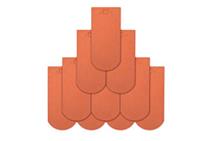 Ngói Vảy Cá Lớn