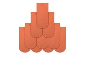 Ngói Vảy Cá Lớn